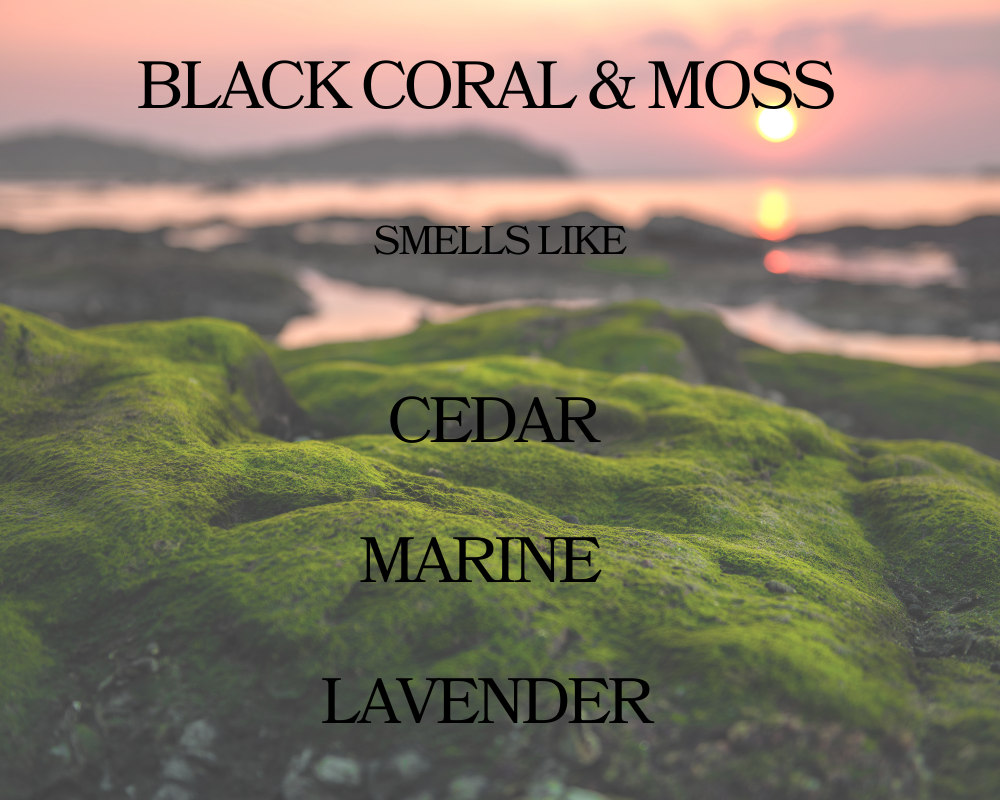 Black Coral & Moss Wax Melt - Non Toxic Wax Melt - Natural Soy Wax Melts - Handmade in USA -  SweetJarCandle Wax Melts