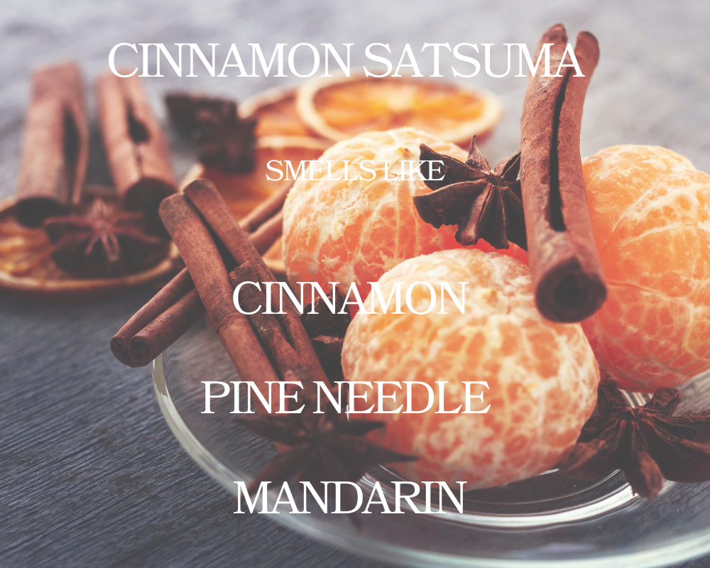 Cinnamon Satsuma Wax Melt - Non Toxic Wax Melt - Natural Soy Wax Melts - Handmade in USA -  SweetJarCandle Wax Melts