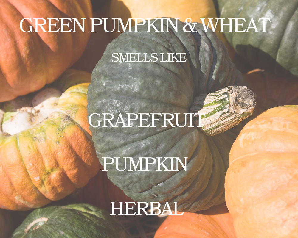 Green Pumpkin & Wheat Wax Melt - Non Toxic Wax Melt - Natural Soy Wax Melts - Handmade in USA -  SweetJarCandle Wax Melts